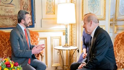 وزيرا الخارجية الإماراتي والفرنسي يدعمان المبادرة المصرية بشأن ليبيا