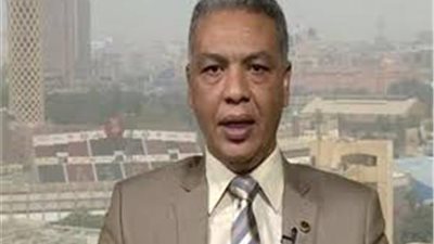 سمير راغب: دور القوات المسلحة في 30 يونيو وطني وليس سياسي