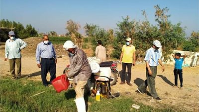 استمرار أعمال مكافحة آفات لوز القطن بالرش في مراكز الفيوم