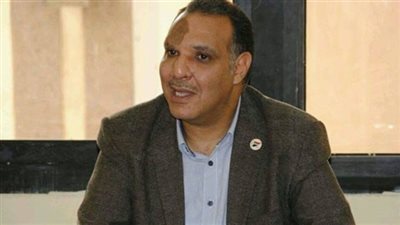 أستاذ علم اجتماع سياسي: المصريون لديهم وعي كبير بالمؤامرات (فيديو)