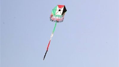 الإفتاء توضح حكم اللعب بالطائرات الورقية.. وتوجه تحذيرا للشباب والأطفال