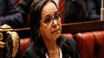 برلمانية: السيدة المصرية خط أحمر.. والتحرش آفة في المجتمع (فيديو)