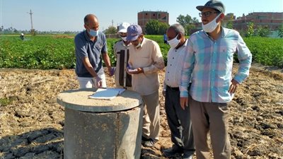 زراعة الفيوم: الانتهاء من رش 170 فدان من الرشة الأولى لمحصول القطن موسم ٢٠٢٠ 