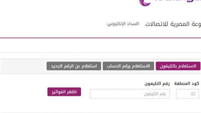 الاستعلام عن فاتورة التليفون الأرضي لشهر يوليو عبر الموقع الالكتروني المصرية للاتصالات billing