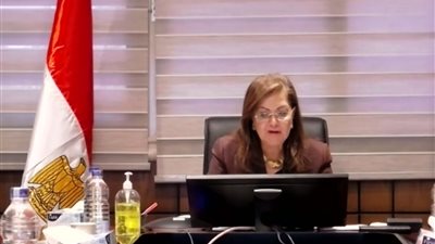 وزيرة التخطيط: ارتفاع مؤشر مدراء المشتريات بنسبة 9,6% خلال يونيو 