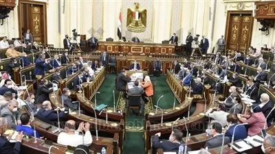 نائبة في البرلمان تعلن استقالتها من المجلس