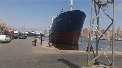 رئيس ميناء الإسكندرية: استقبلنا 86 سفينة اليوم