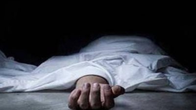 قابيل وهابيل قنا.. طعن شقيقه في صدره لخلافات عائلية