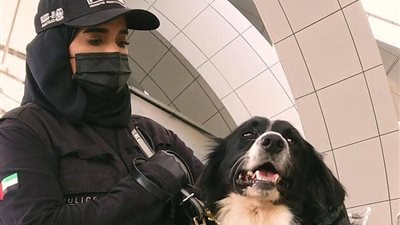 لأول مرة.. الإمارات تستخدم الكلاب البوليسية في الكشف عن كورونا
