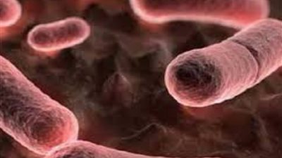 أستاذ مناعة: مصر آمنة تمامًا من عدوى الطاعون الدبلي (فيديو)