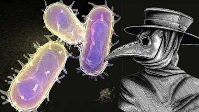 أستاذ مناعة يطمئن المصريين بشأن الطاعون الدبلي المنتشر في الصين