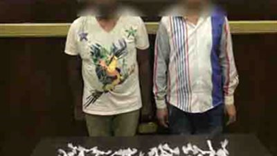 ضبط عاطلين بحوزتهما كمية من مخدرالهيروين في البساتين 