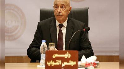 عقيلة صالح والممثلة الخاصة للأمم المتحدة في ليبيا يدعمان العملية السياسية 