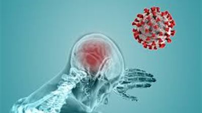 لا داعٍ للقلق.. بشرى سارة عن حمى الضنك والموجة الثانية لكورونا