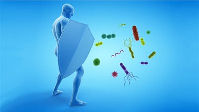 لتقوية المناعة.. إليكِ قائمة كاملة بالأطعمة التي يفضل تناولها بين الوجبات
