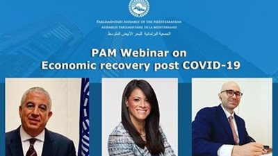 وزيرة التعاون الدولي: كورونا أظهرت أهمية تعزيز التعاون بين القطاع العام والخاص 