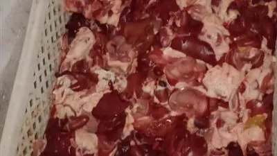 إحباط ترويج 2 طن كبدة فاسدة على الأسواق بالجيزة