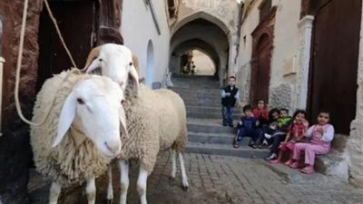 كل ما تريد معرفته عن موعد عيد الأضحى 2020