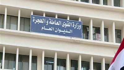 القوى العاملة: قانون العمل الجديد يحفظ كرامة العامل ويجذب الاستثمار (فيديو)