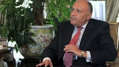 الخارجية: لا نأمل في إعادة ملف سد النهضة لمجلس الأمن (فيديو)