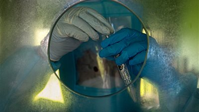 الولايات المتحدة تسجل أكثر من 56000 إصابة جديدة بكورونا في يوم واحد