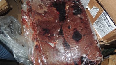 ضبط 4 أطنان لحوم ورنجة فاسدة في المنصورة (صور)