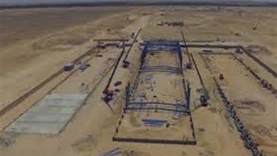   8 معلومات حول أكبر مشروع زراعي لإنتاج السكر في المنيا