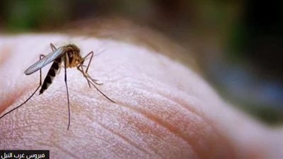 ظهر في نيويورك.. ماهو فيروس غرب النيل؟
