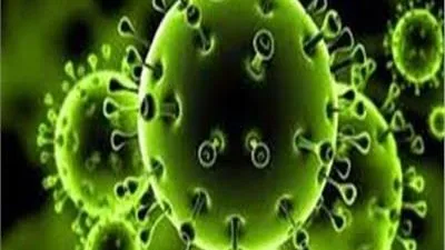 تبرئة الصين من صناعة كورونا.. ماذا قالت الصحة العالمية عن الفيروس؟