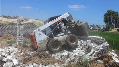 تنفيذ 56 قرار إزالة تعدي على الأراضي الزراعية بكفرالشيخ (صور)