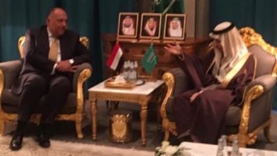 اتفاق مصري سعودي بشأن المسلحين الأجانب في ليبيا