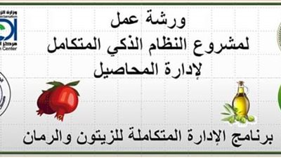 الاثنين.. مديرية الزراعة بالفيوم تعقد ورشة حول الإدارة المتكاملة للزيتون والرمان 