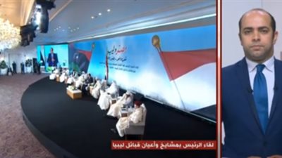 دبلوماسي سابق عن الوضع الليبي: مصر نفسها طويل في التفاوض