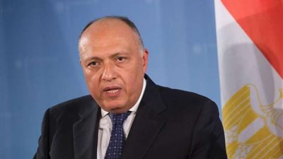 الخارجية: تركيا تغامر بالتدخل في شؤون الدول العربية