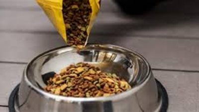 8 ملايين دولار واردات أغذية الحيوانات خلال أبريل الماضي