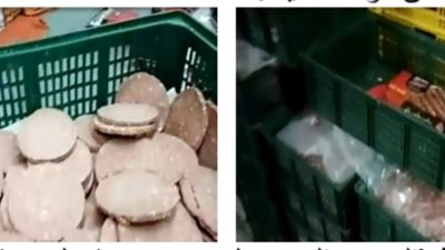 ضبط مصنعين لإنتاجهما لحوما فاسدة في المنوفية