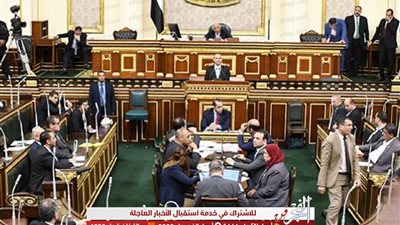 البرلمان يوافق على نقل أصول شركات قطاع الأعمال لصندوق مصر السيادي