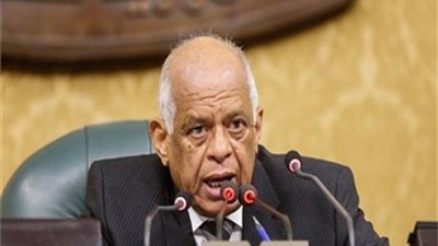 عبدالعال: راضٍ عن أداء البرلمان وانظروا للسير الذاتية لرؤساء اللجان