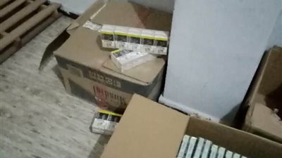 ضبط 1000 علبة سجائر مجهولة المصدر بالدقهلية (صور)