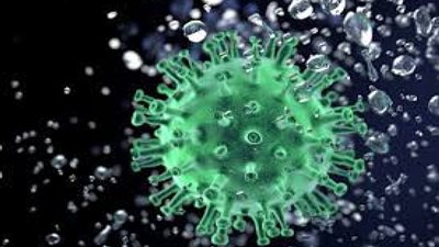 رئيس لجنة كورونا: بدأنا في السيطرة على الفيروس (فيديو)