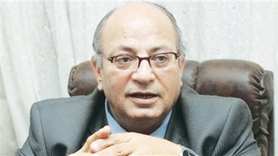 أستاذ تاريخ: هناك وثائق رسمية كثيرة لثورة 23 يوليو 