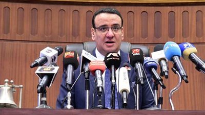 متحدث البرلمان: رسائل السيسي تؤكد قدرة مصر على حماية حقوقها 