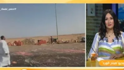 إحنا حراس الجنوب.. النوبيون يحمون حمولة شوكولاتة انقلبت على الطريق