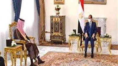 عز العرب يكشف رسائل لقاء الرئيس السيسي ووزير الخارجية السعودي (فيديو)