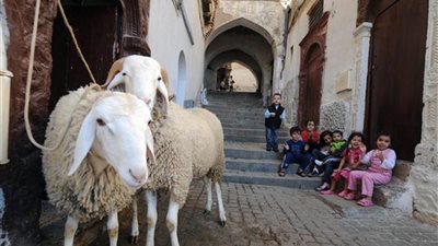 اجازة عيد الاضحى ٢٠٢٠‬‎ للقطاعي العام والخاص