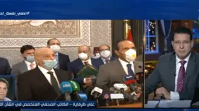 باحث: دول المنطقة بدأت تشعر بالخطر القادم من ليبيا (فيديو)