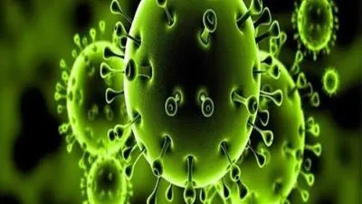 بشرى سارة دواء مصري لكورونا.. وبـ 15 جنيها فقط (فيديو)