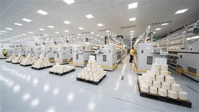 تزامنا مع افتتاحها.. كل ما تريد معرفته عن مدينة الروبيكي الصناعية