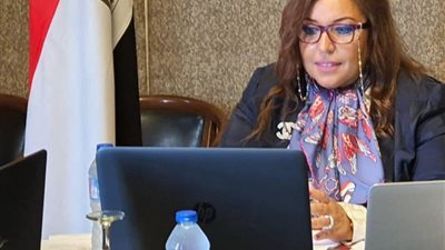 مباحثاث مصرية برازيلية لزيادة التعاون في الطاقة والغاز الطبيعي والمنسوجات