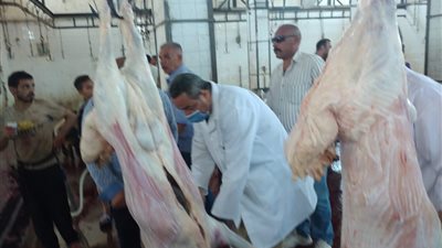تحرير 10 محاضر وضبط 312 كيلو لحوم غير صالحة في الفيوم